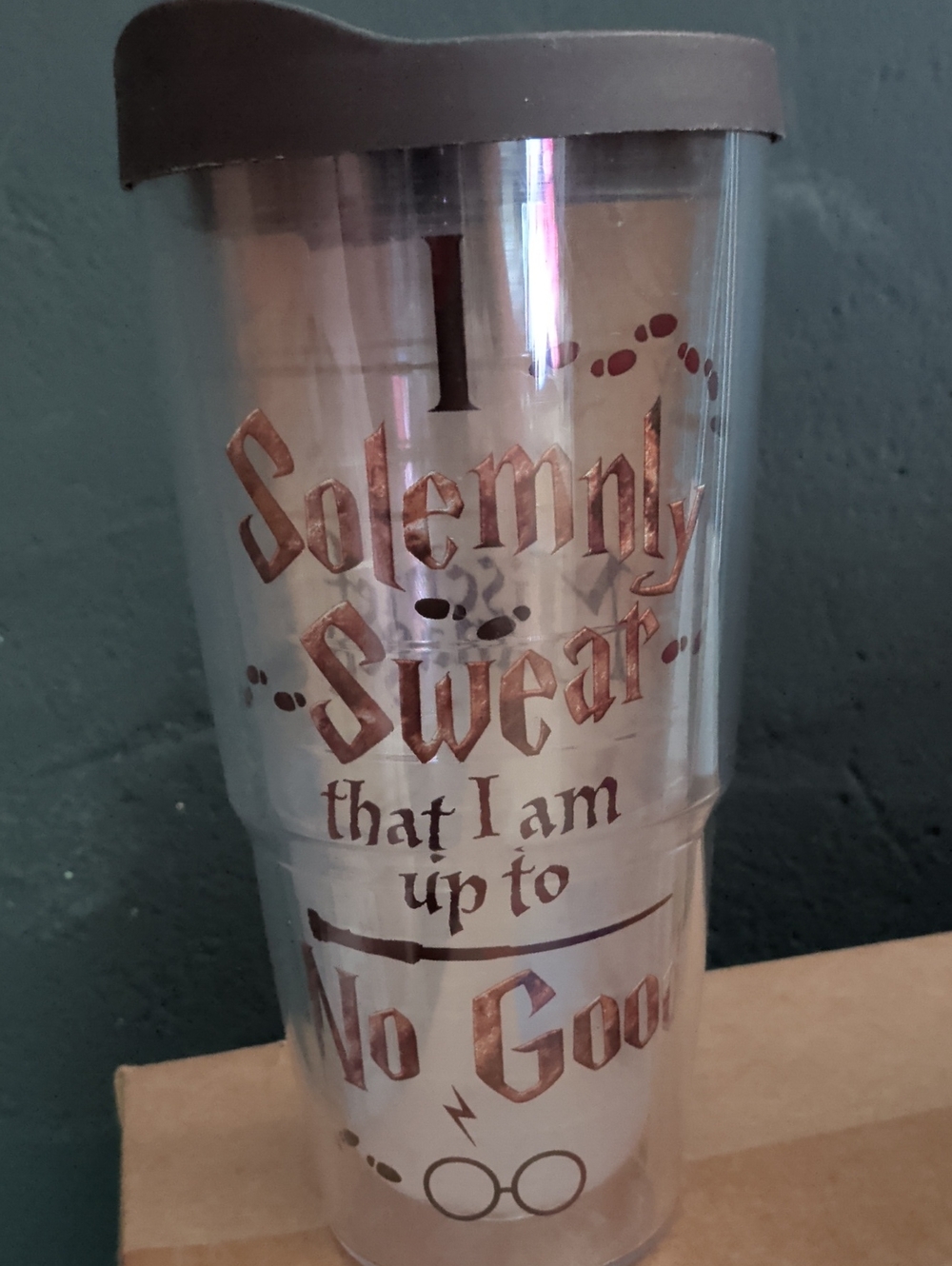 Hairy Potter Tervis Travel Tumbler 24oz - Brown Accent "I Solemnly Swear" Design